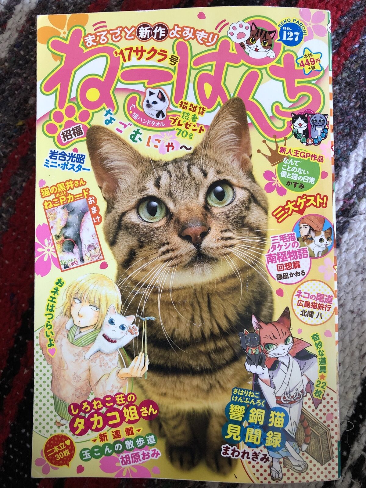 Japanese Manga Complete Short Stories Neko Panchi Comic