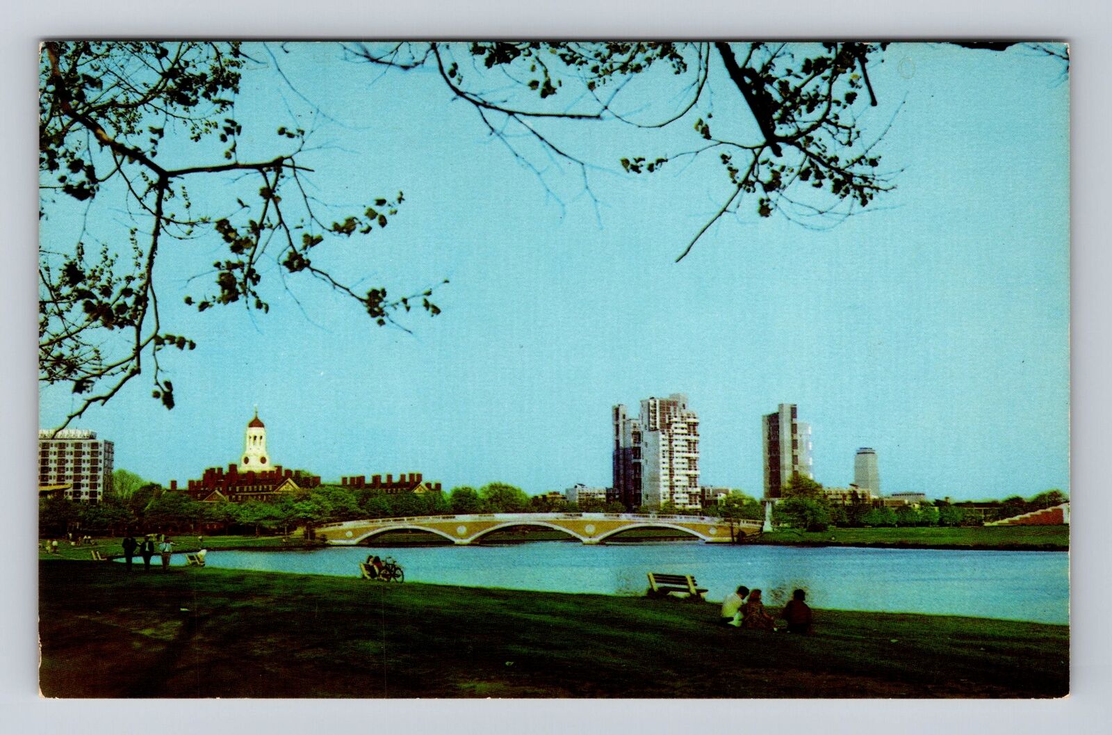 Cambridge MA-Massachusetts, Harvard University, Antique, Vintage Postcard