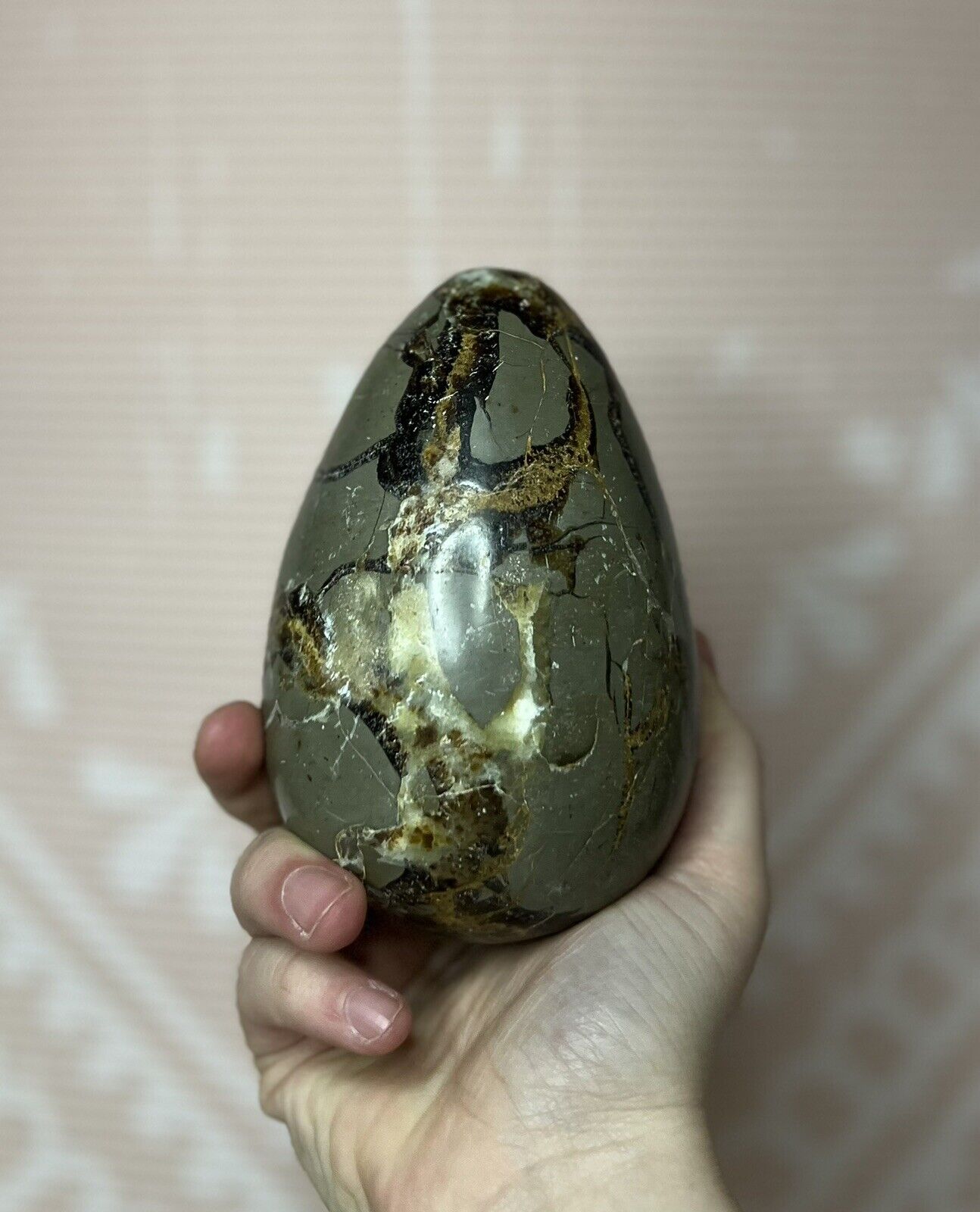 Septarian Stone Natural Beautiful Dragon Egg Crystal Large 1017g