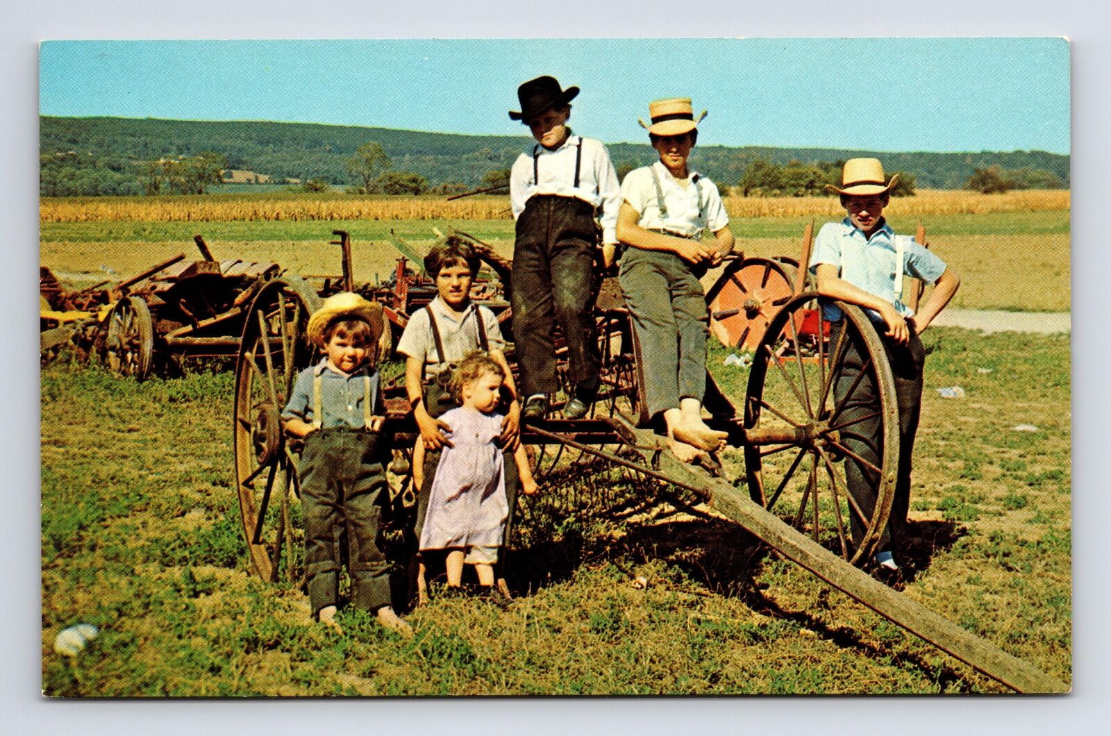 Amish Children Playing Among Farm Implements Pennsylvania PA Postcard
