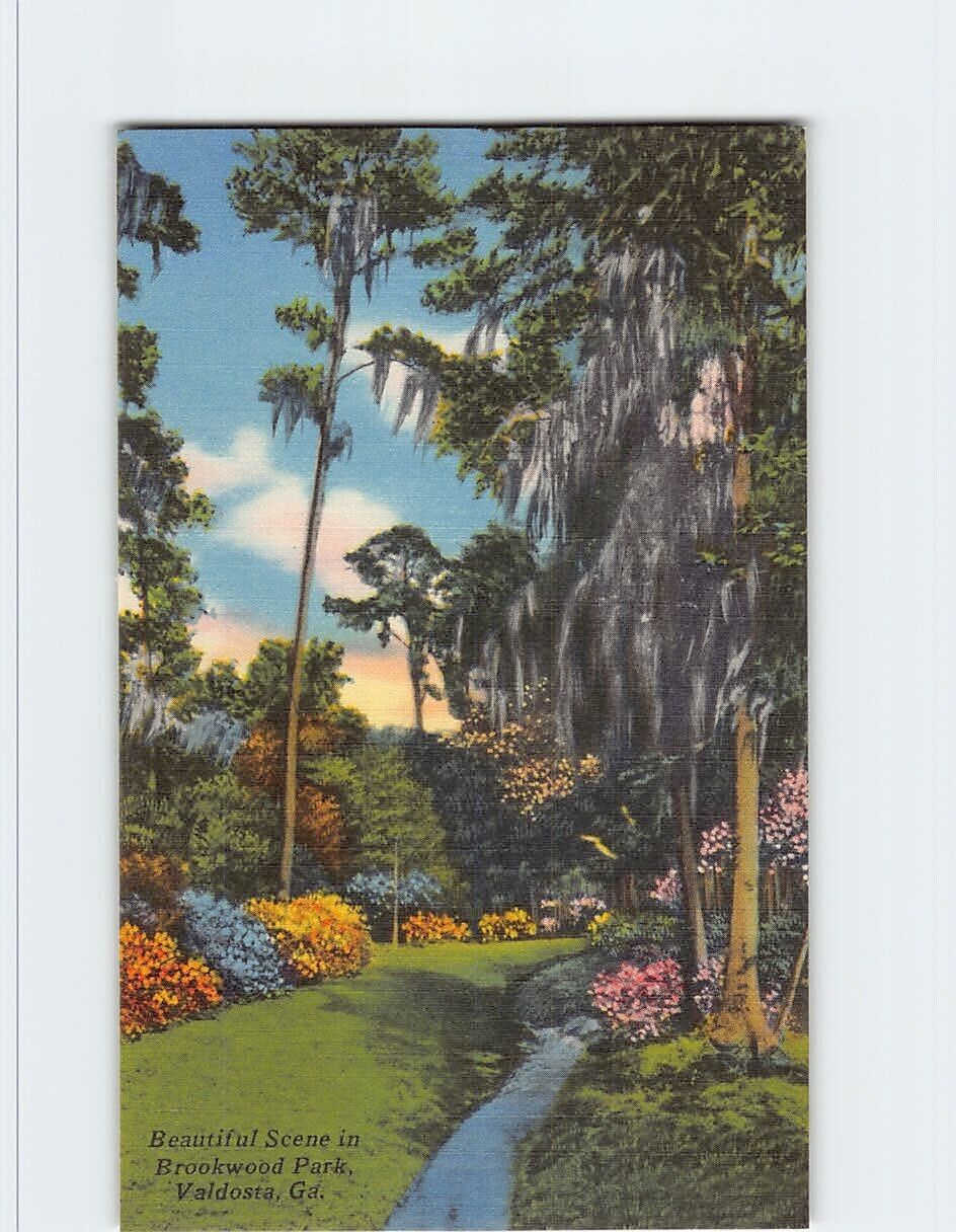 Postcard Beautiful Scenic in Brookwood Park Valdosta Georgia USA