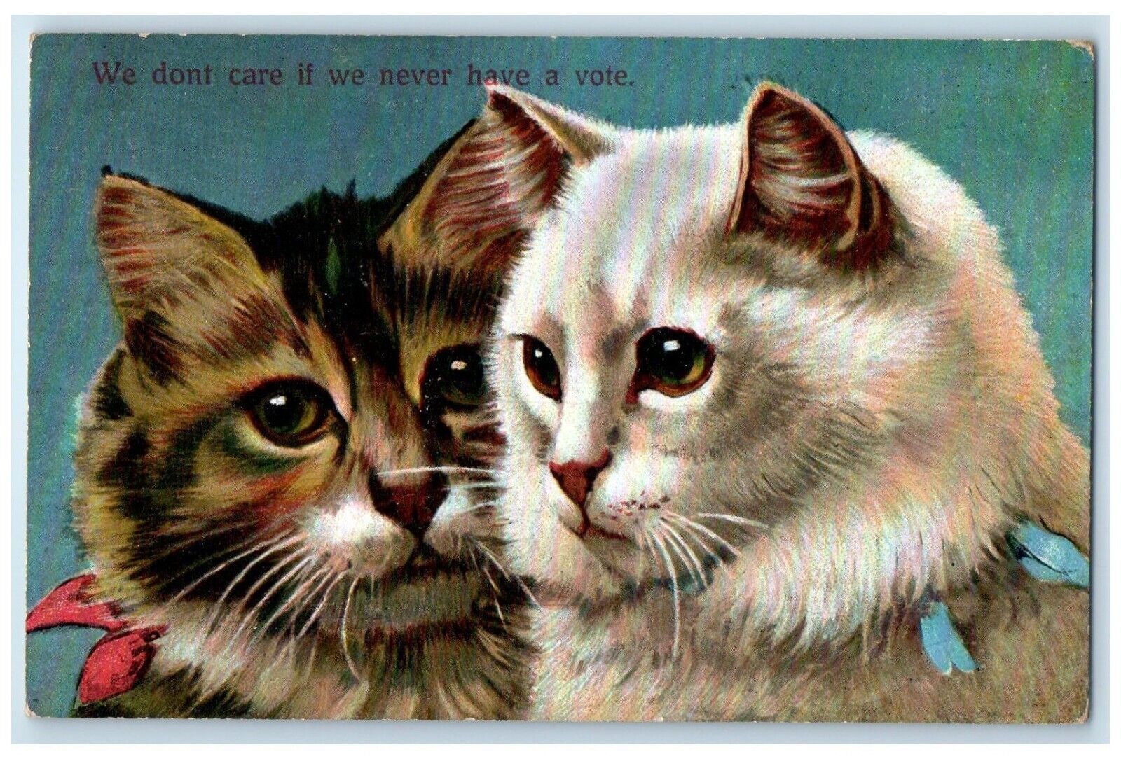 c1910s Cute Cats Kittens Suffrage We Don't Care If We Never Have A Vote Postcard