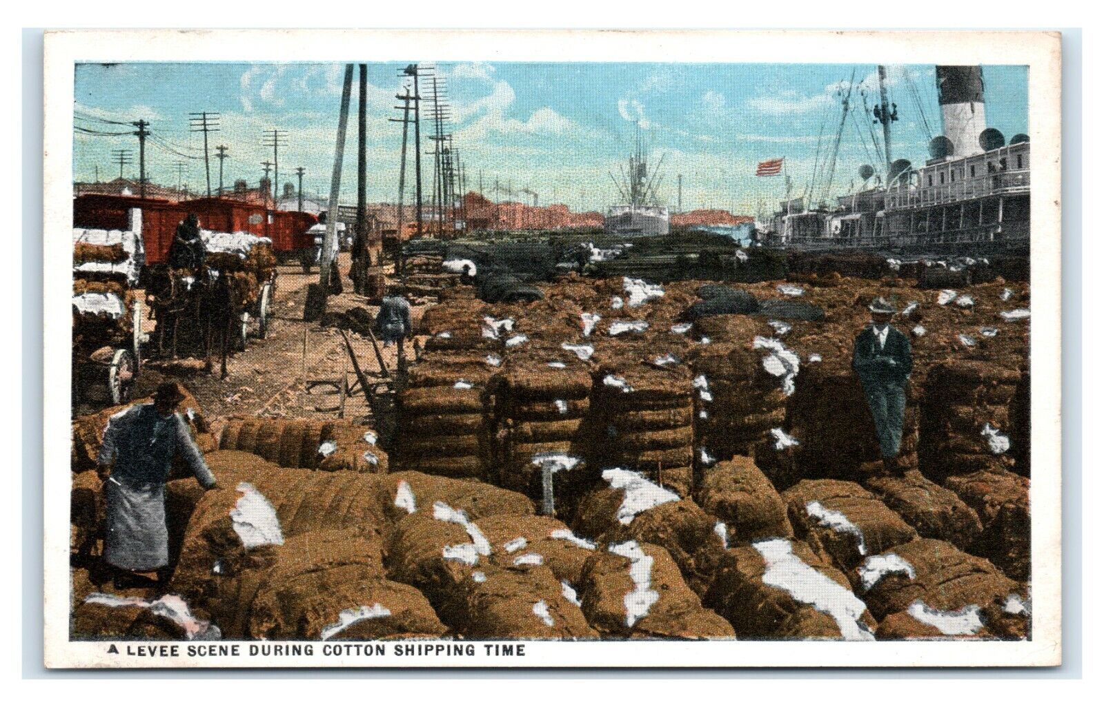 Postcard A Levee Scene during Cotton Shipping Time T4