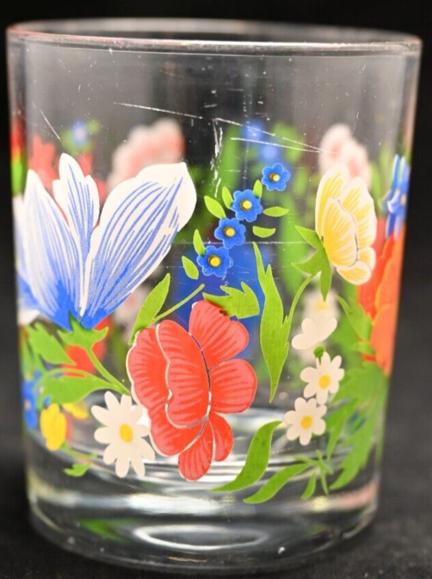 Vintage Reims France Floral Multicolor Tumbler Glass