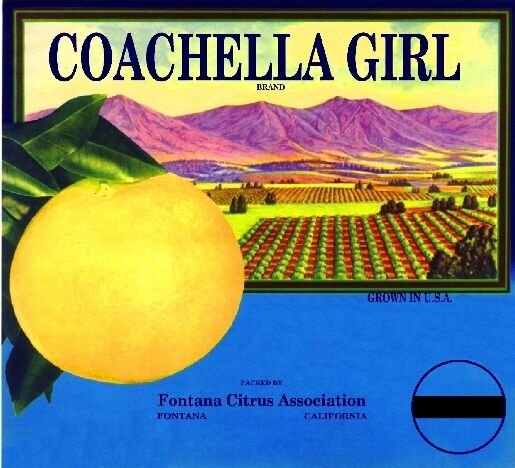 Fontana San Bernardino Coachella Girl Grapefruit Crate Label Vintage Art Print