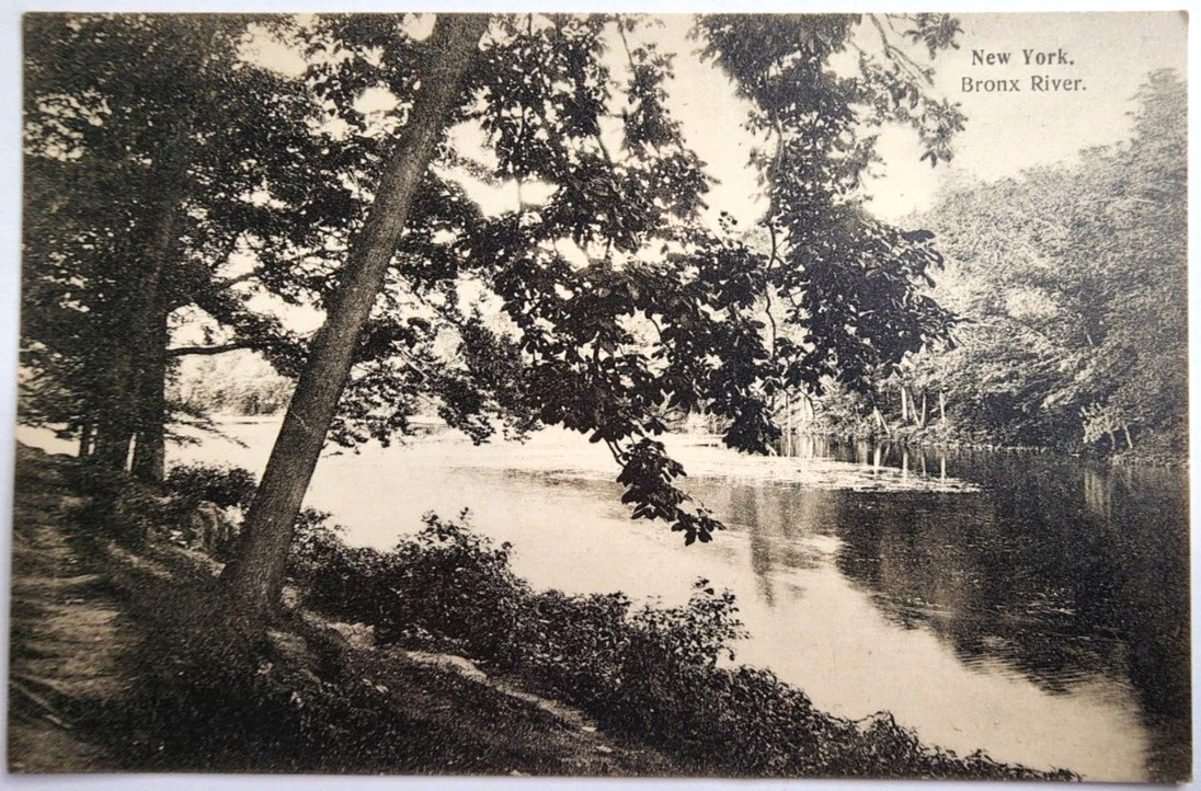 Antique Postcard Bronx River New York NY Undivided Back Unposted