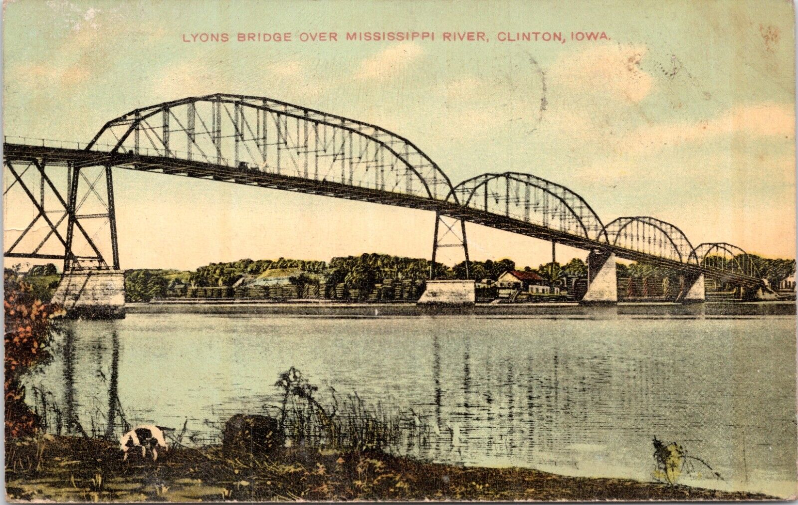 c1910s Clinton IA Lyons Bridge Pitbull Dog Shore Mississippi River Postcard 128b