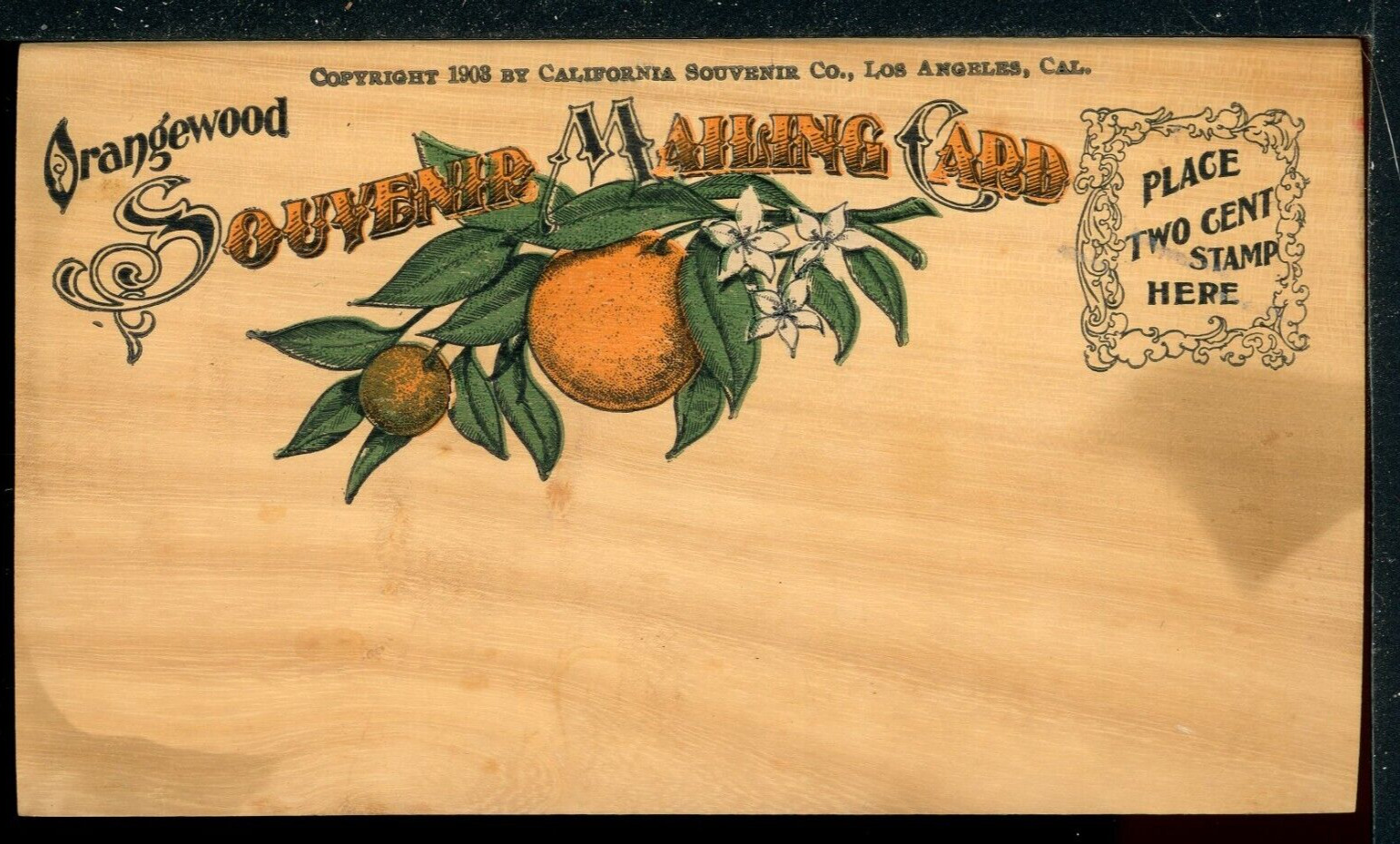 1903 Orangewood Souvenir Mailing Card Long Beach CA Vintage Wood Postcard