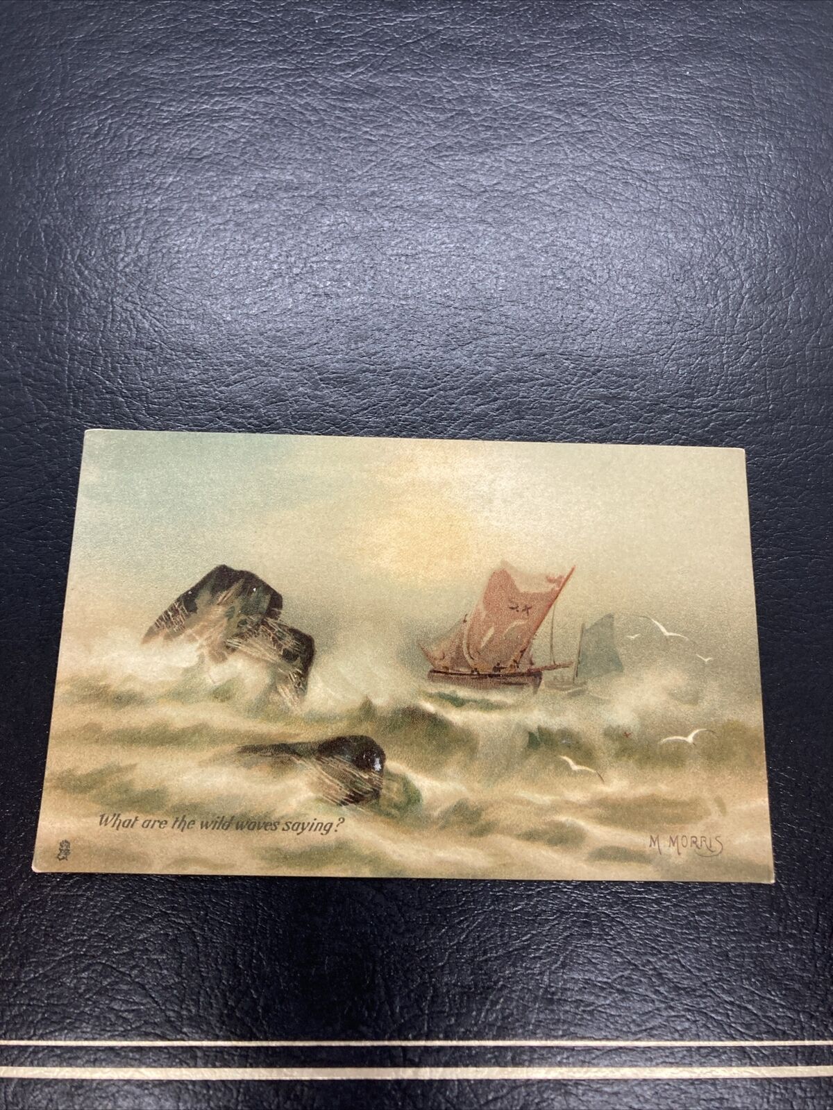 Tucks 2548 M Morris Postcard What Are The Wild Waves Saying? Rare Unposted