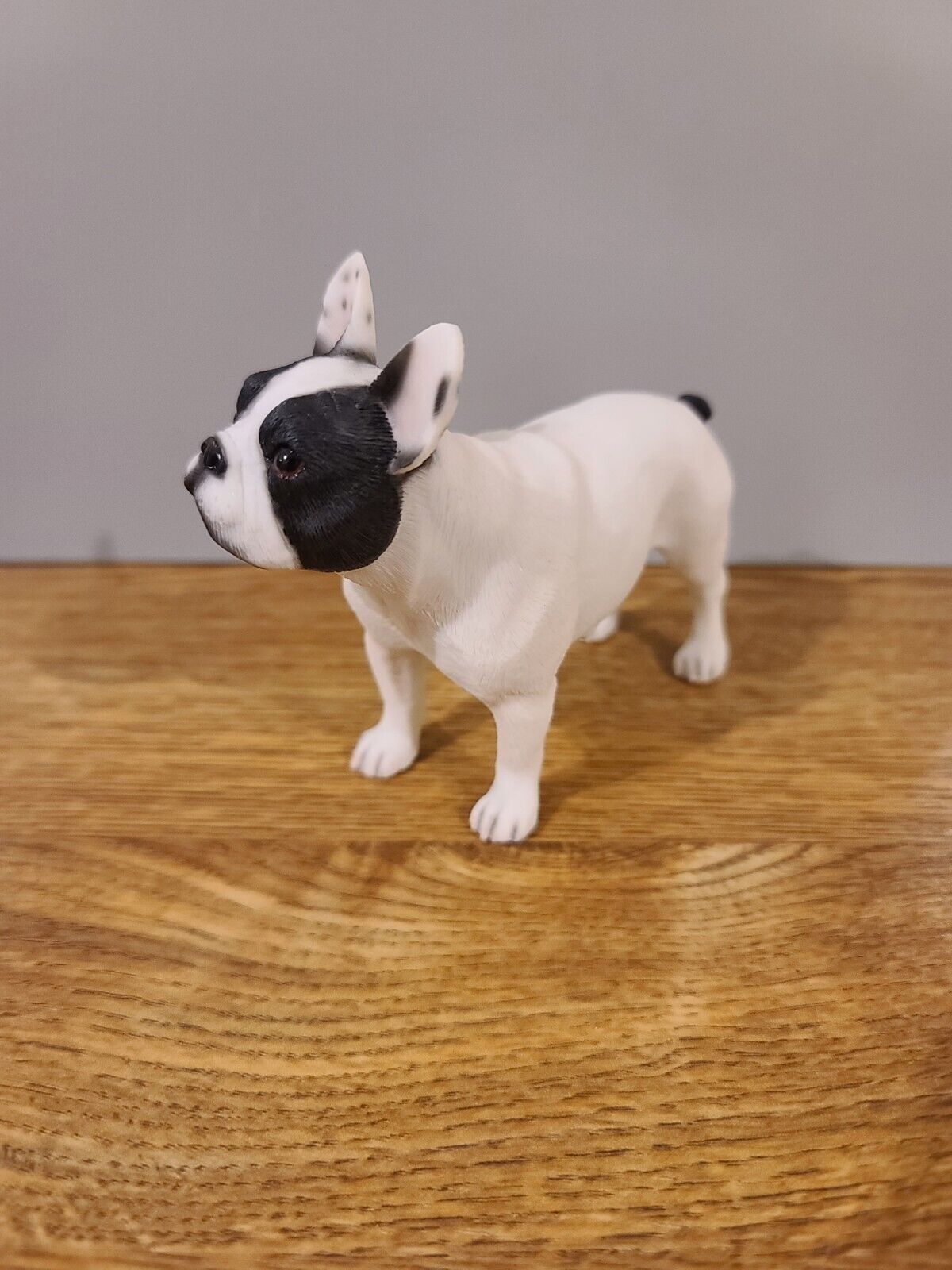 Leonardo French Bulldog  Model From the Dog Studies Collection Pre-Owned.2007