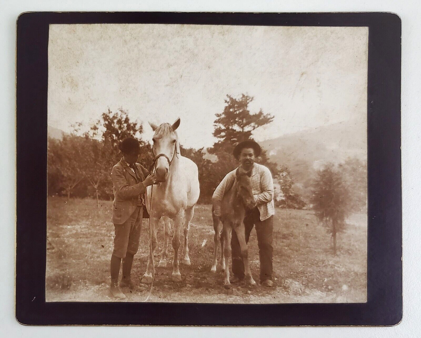 1920s Horse Mare Foal Rural Americana Farmers Countryside Vintage Photograph