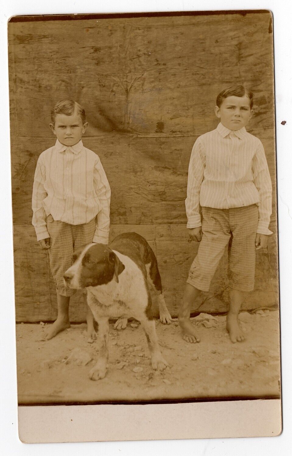 Great RPPC of Two Barefoot Boys and Their Dog