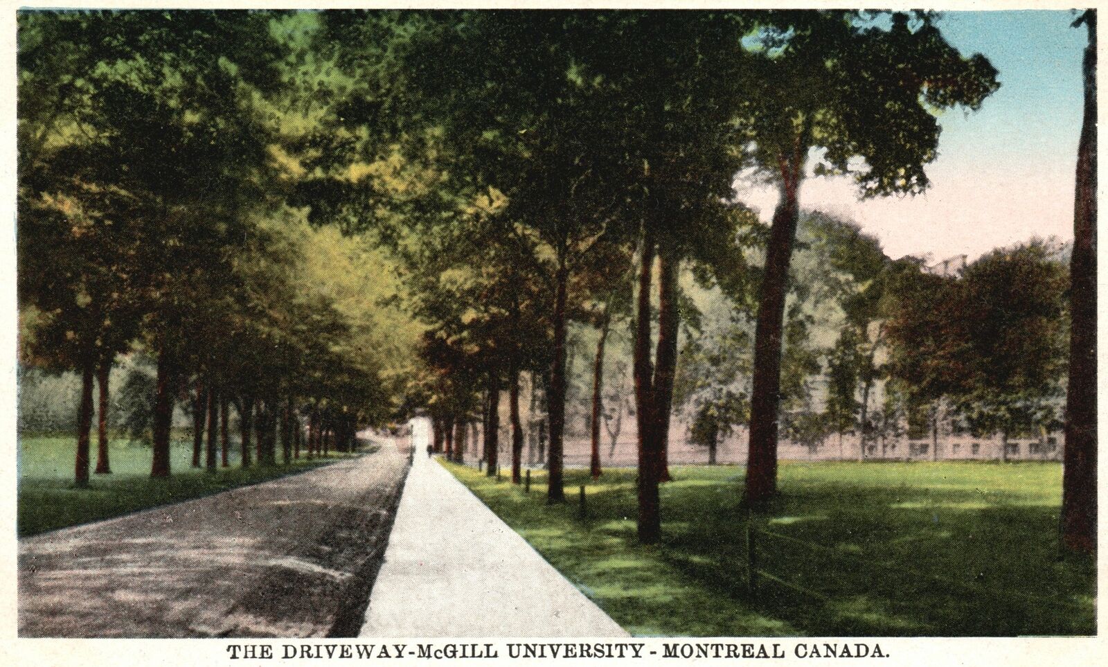 Quebec Canada, 1910\'s The Driveway McGill University Montreal Vintage Postcard