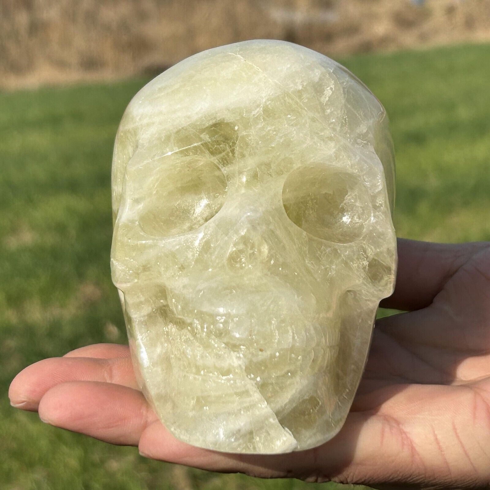 1.2kg Natural citrine skull Quartz Crystal carved skull Reiki healing WK542