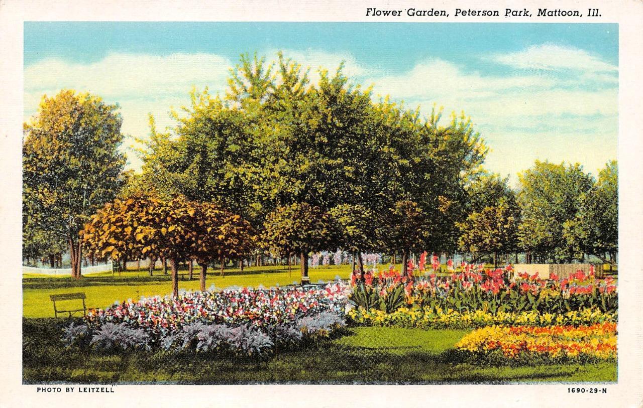 MATTOON, IL Illinois  FLOWER GARDEN~PETERSON PARK  Coles Co  c1940\'s Postcard