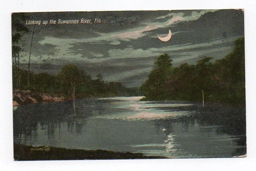 DB Postcard, Looking up the Suwannee River, Fla., Florida, 1912