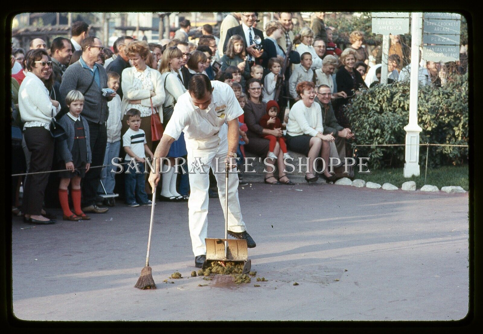 1966 Slide Disneyland Fantasy On Parade Cast Member Cleaning After Horses #4669