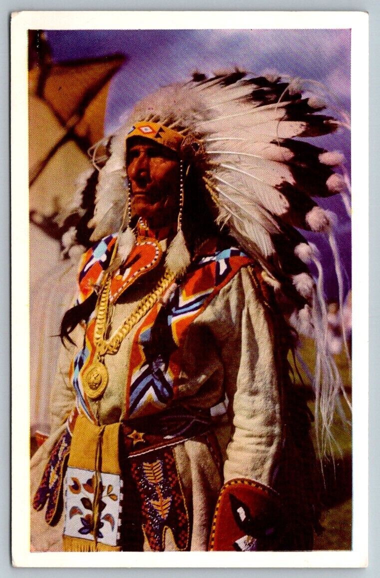Native American Indian Postcard - Stony Indian Chief