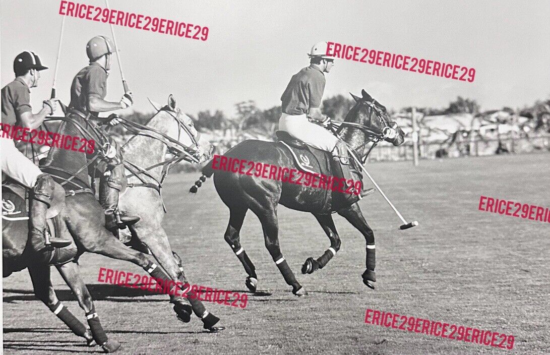 Three Polo Players On Horses Equestrian Polo Match OOAK B/W Photograph 11” x 14”
