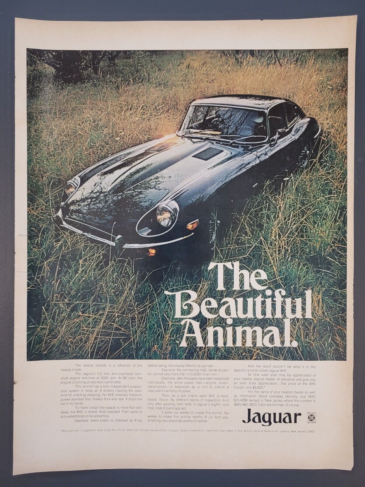 1970 PRINT AD Jaguar Automobile XKE \