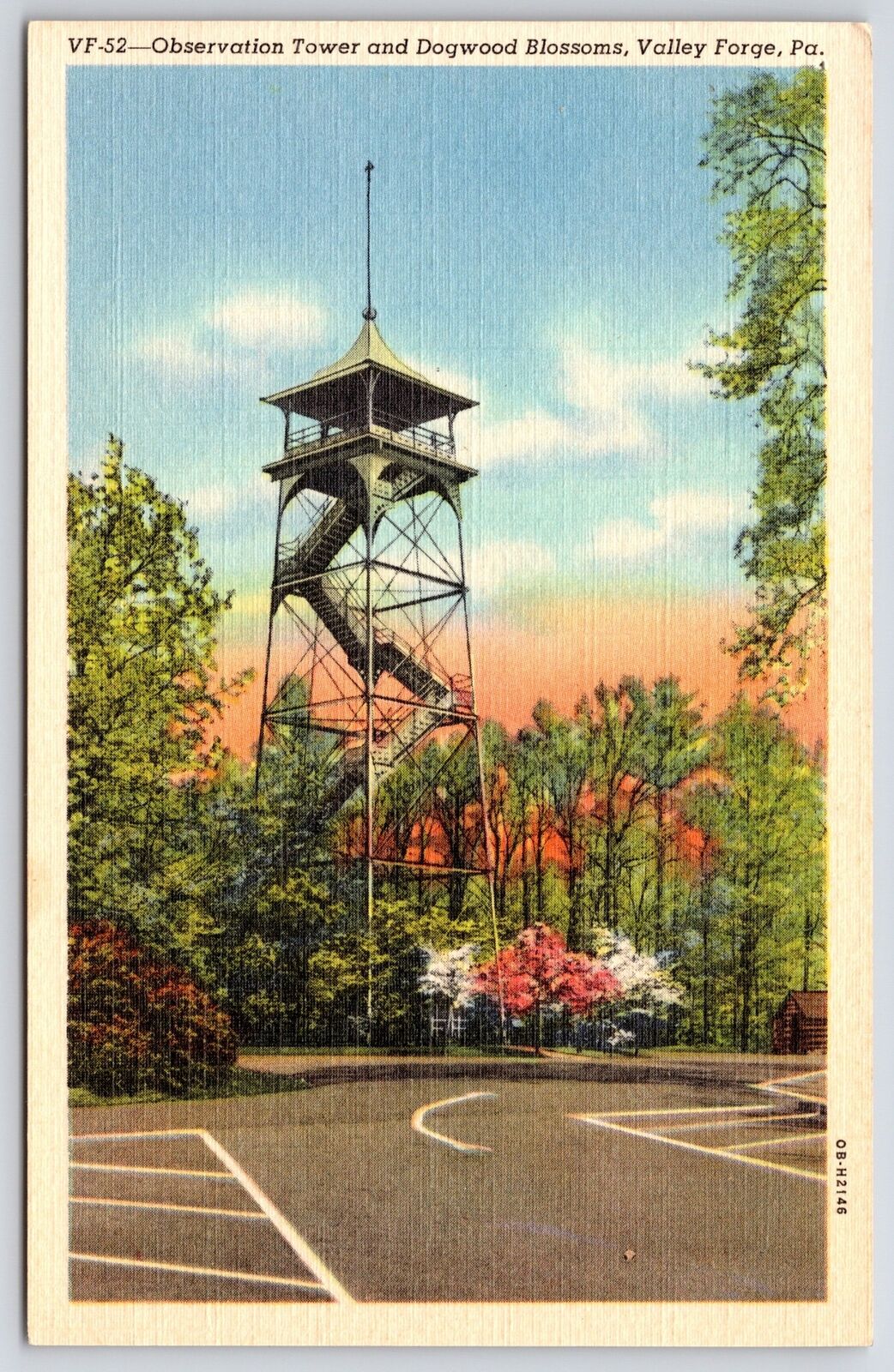 Observation Tower And Dogwood Blossoms Valley Forge Pennsylvania PA Postcard