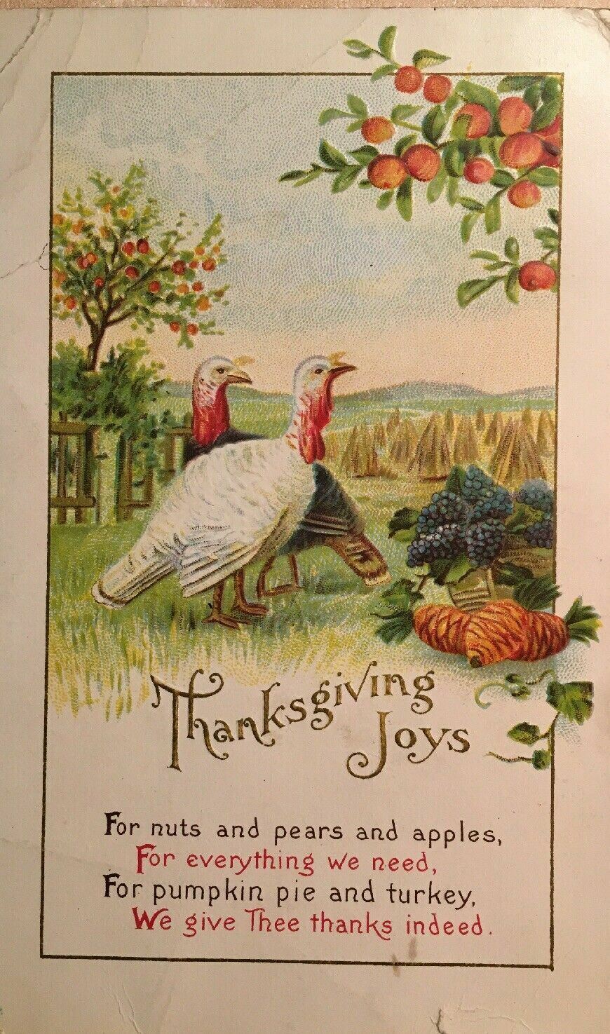 Antique 1921 Thanksgiving Postcard Posted Turkeys Beautiful Vintage