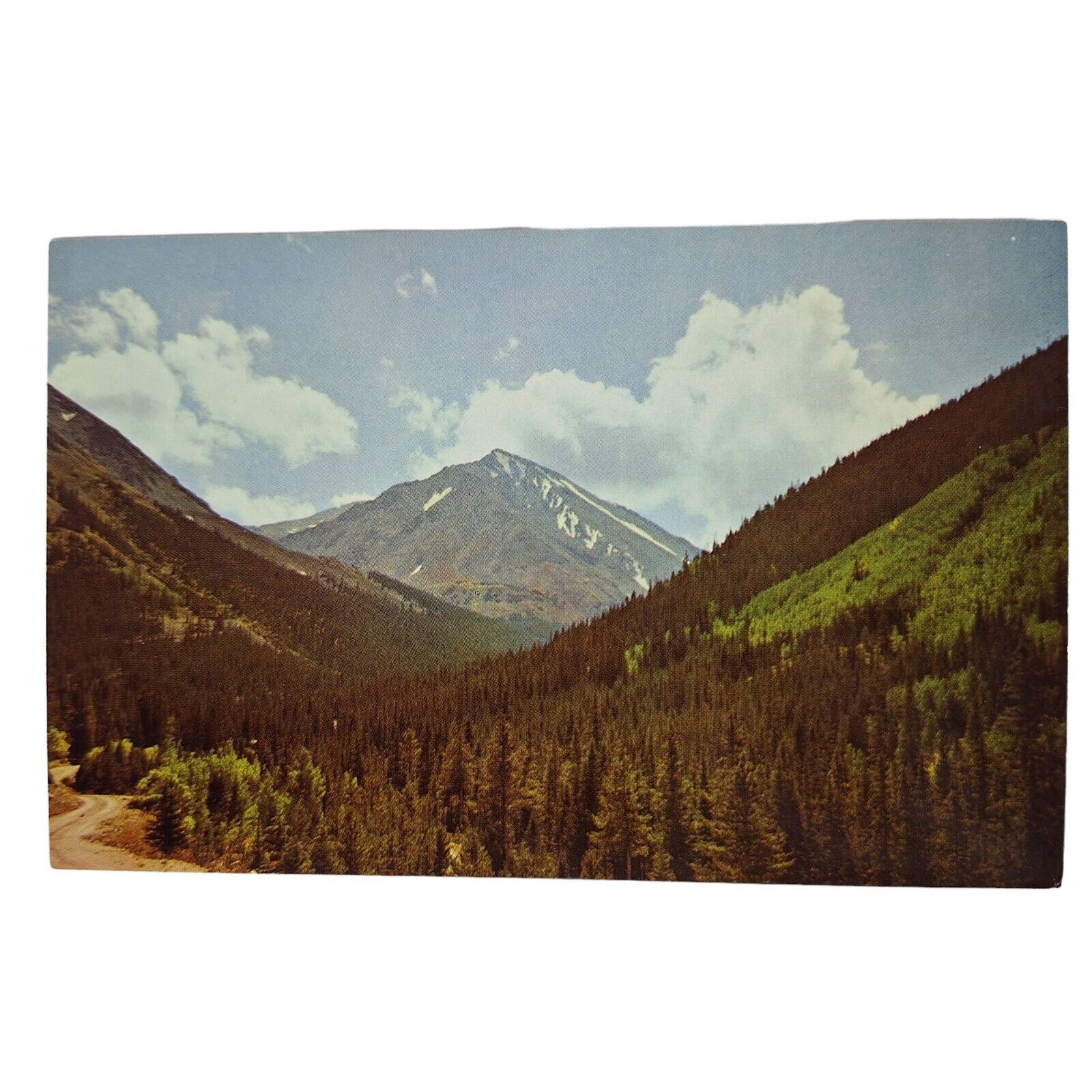 Postcard Torrey's Peak Colorado Landscape Mountain Chrome Unposted