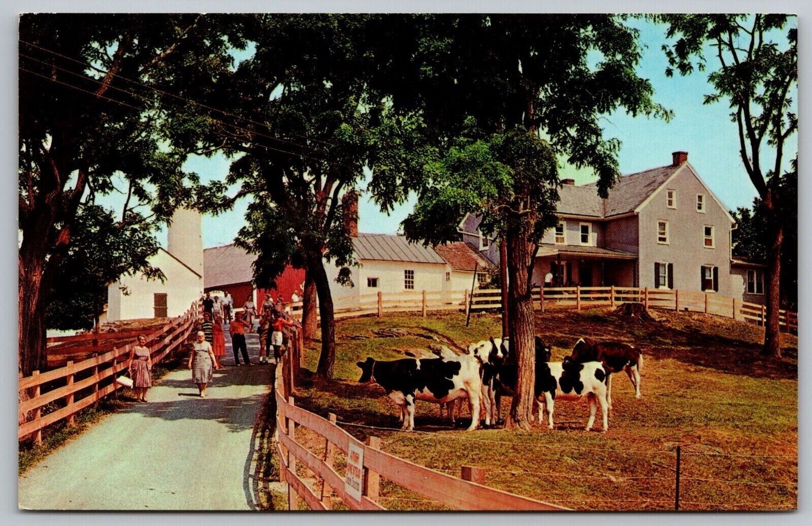 Lancaster Pennsylvania Amish Homestead Scenic Countryside Chrome Postcard