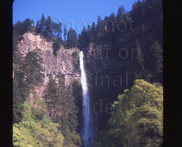 June 1967 Tall Waterfall Rock Cliff Pine Trees 35mm Slide