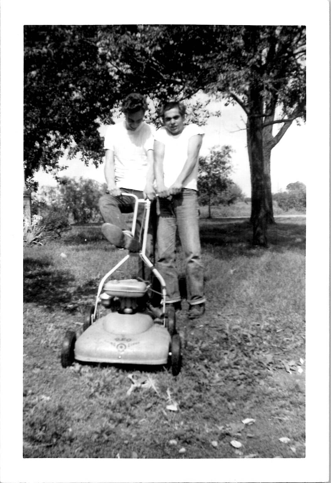 Hardworking Teenage Boys Mowing Lawn Grass Labor Americana 1950s Vintage Photo