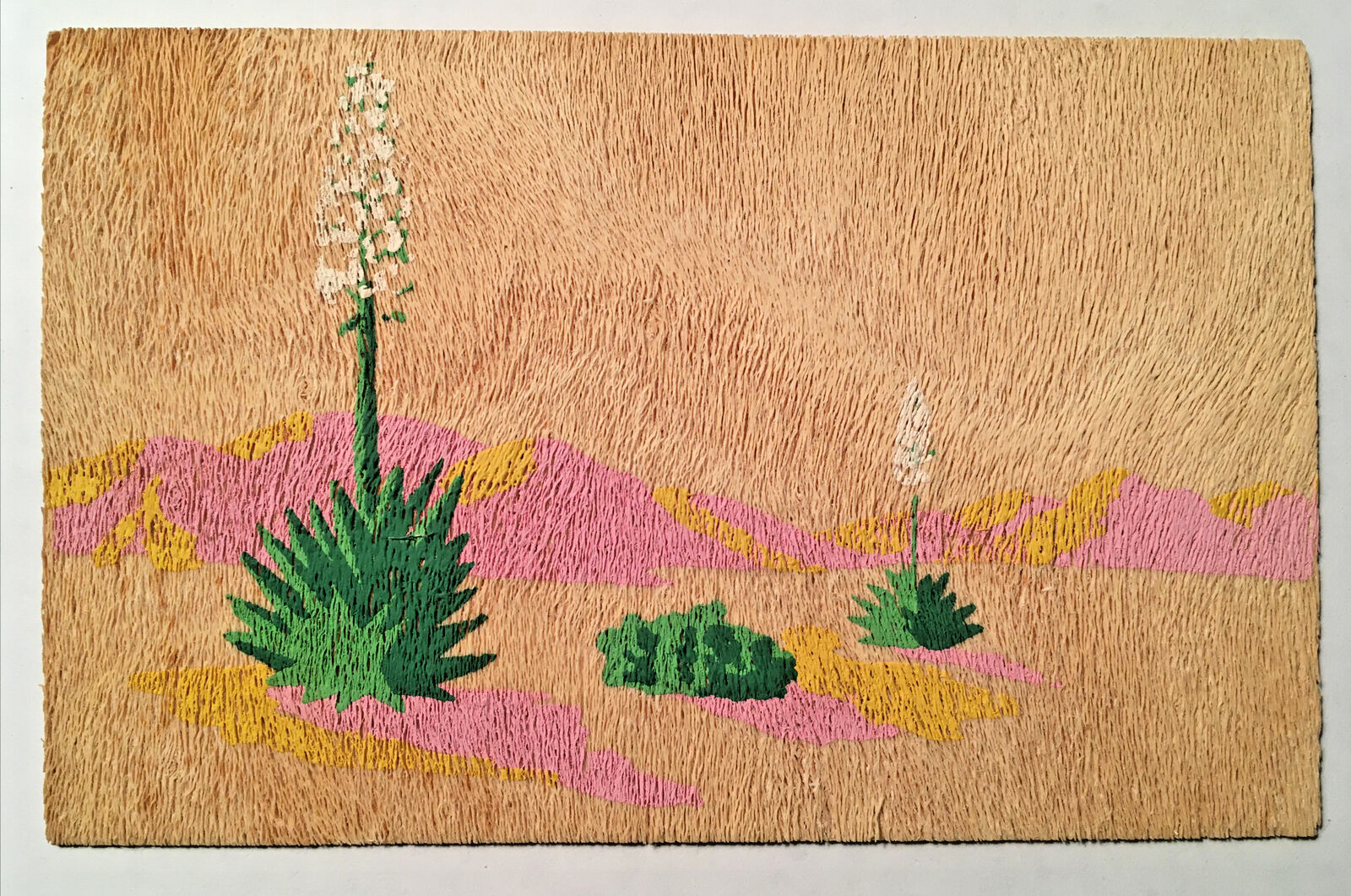 Yucca Wood Postcard Arizona Desert Scene Flowering Yucca Mountains Posted 1940