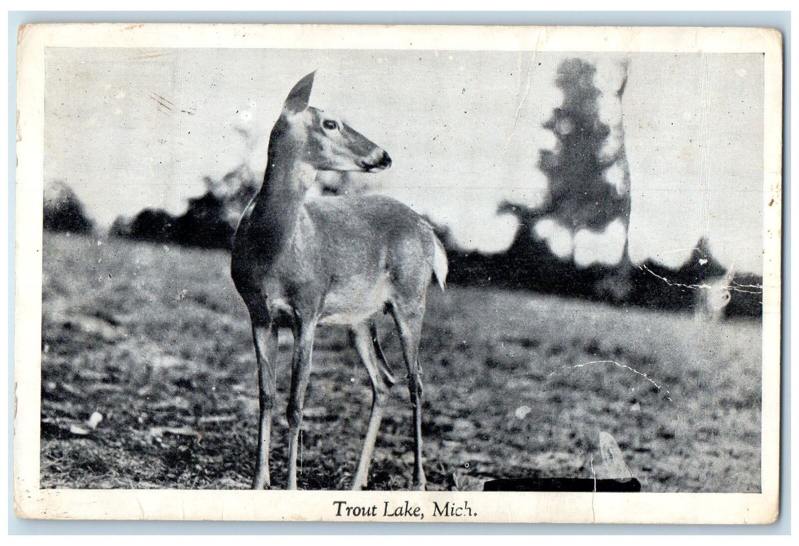 c1905\'s Deer Hunting Fishing Swimming Boating Trout Lake Michigan MI Postcard