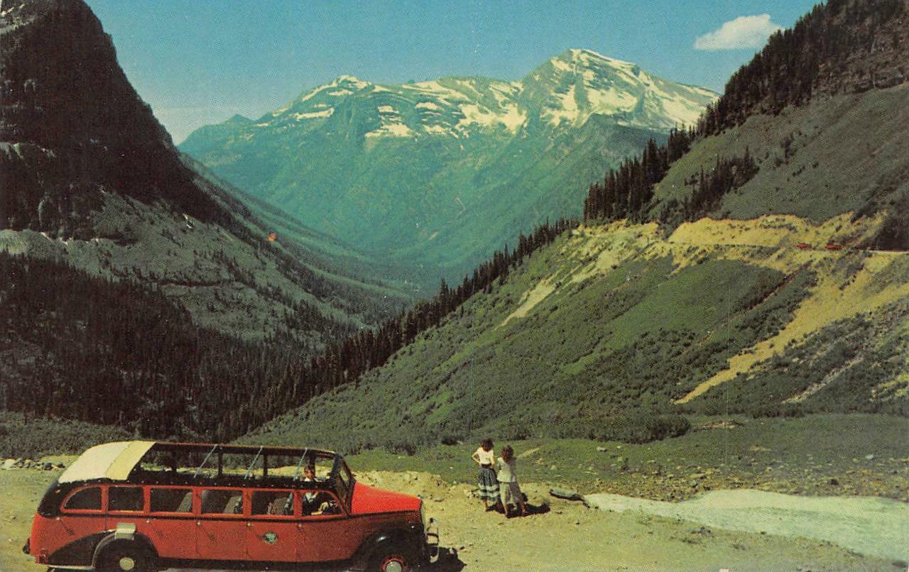 Going to the Sun Highway Glacier Natl Park MT Logan Pass c1950s Vintage Postcard