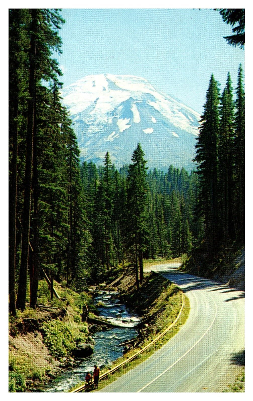 WA Washington Highway to Mt. St. Helens C-166 Chrome Postcard