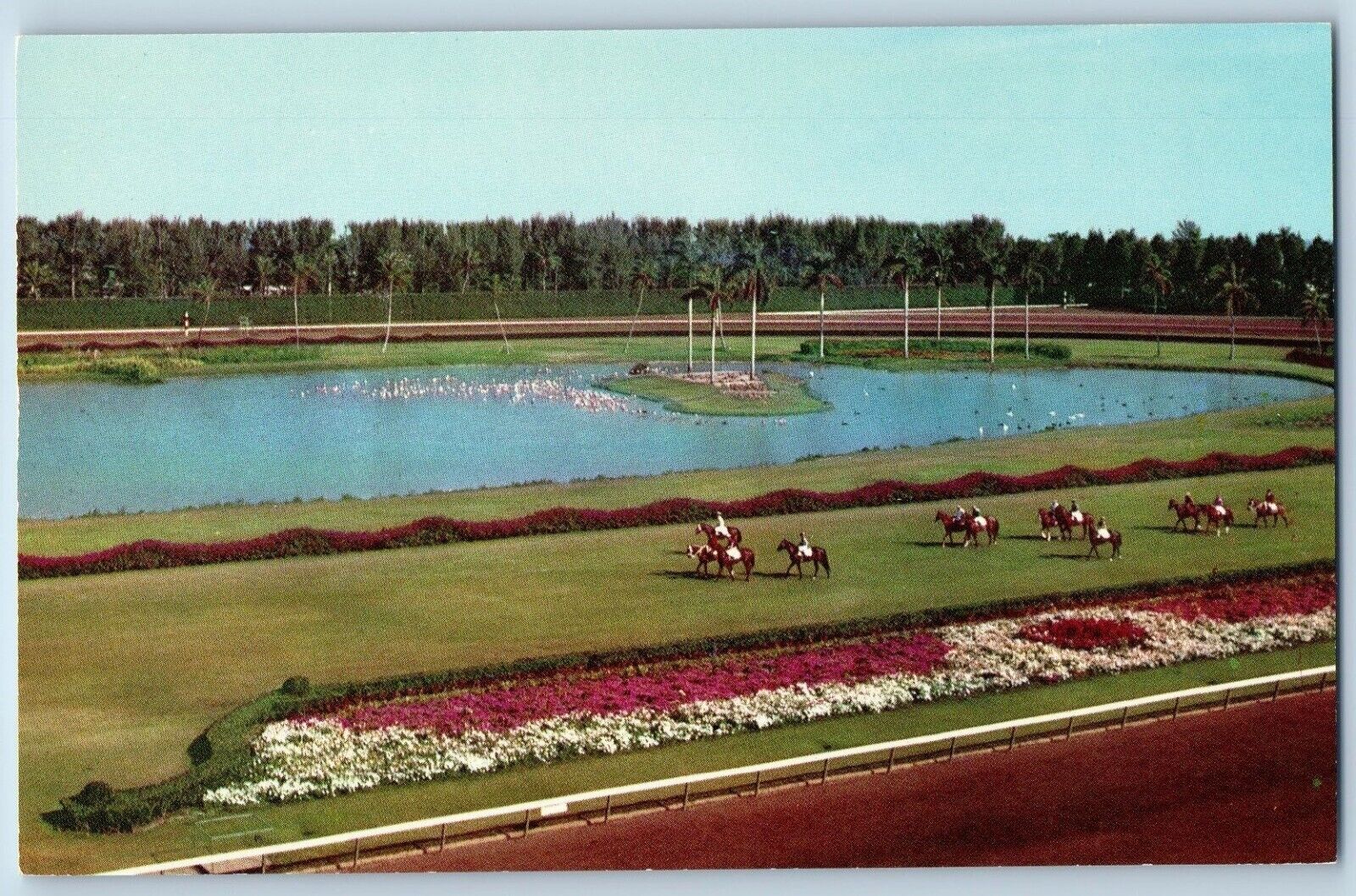 Miami Beach Florida FL Postcard Parading Post Turf Beautiful Hialeah Race c1960