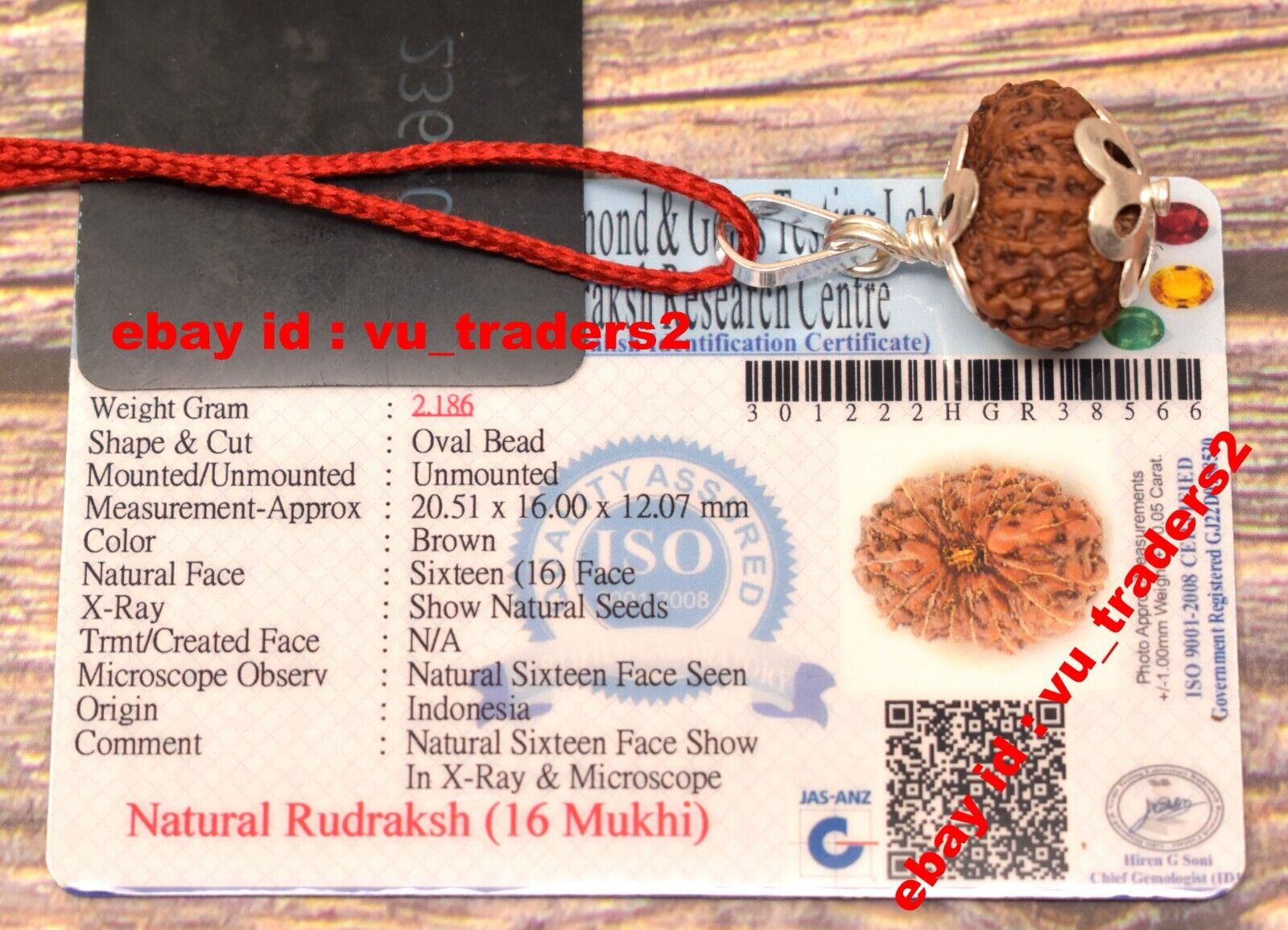 16 Mukhi Rudraksha / Sixteen Face Rudraksh Java Bead Lab Certified Size 20.51 MM