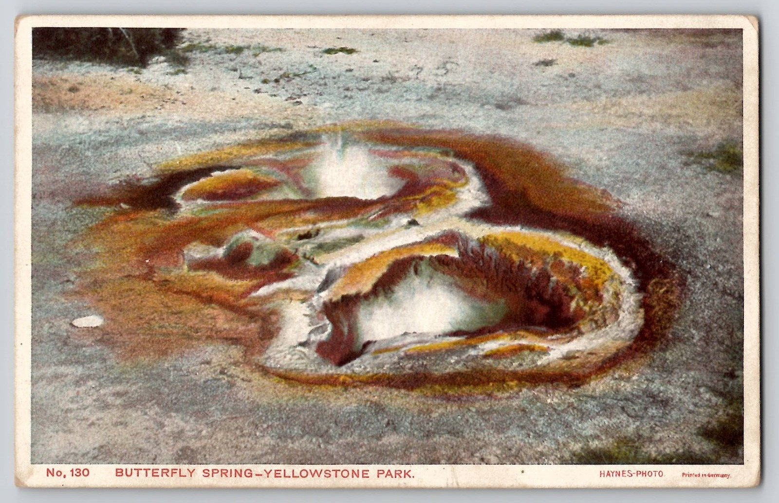 Yellowstone Park Butterfly Spring No 130 HAYNES 100 Series Type C Back Postcard