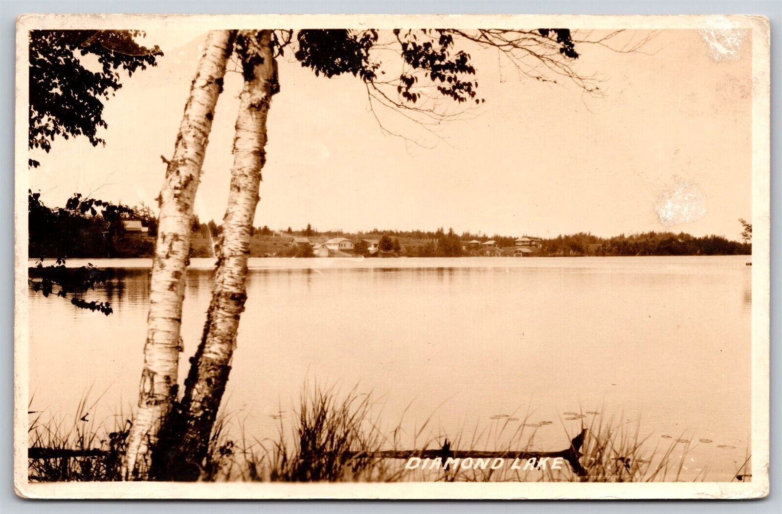 Postcard Diamond Lake, White Cloud, Michigan Birch Trees RPPC B58