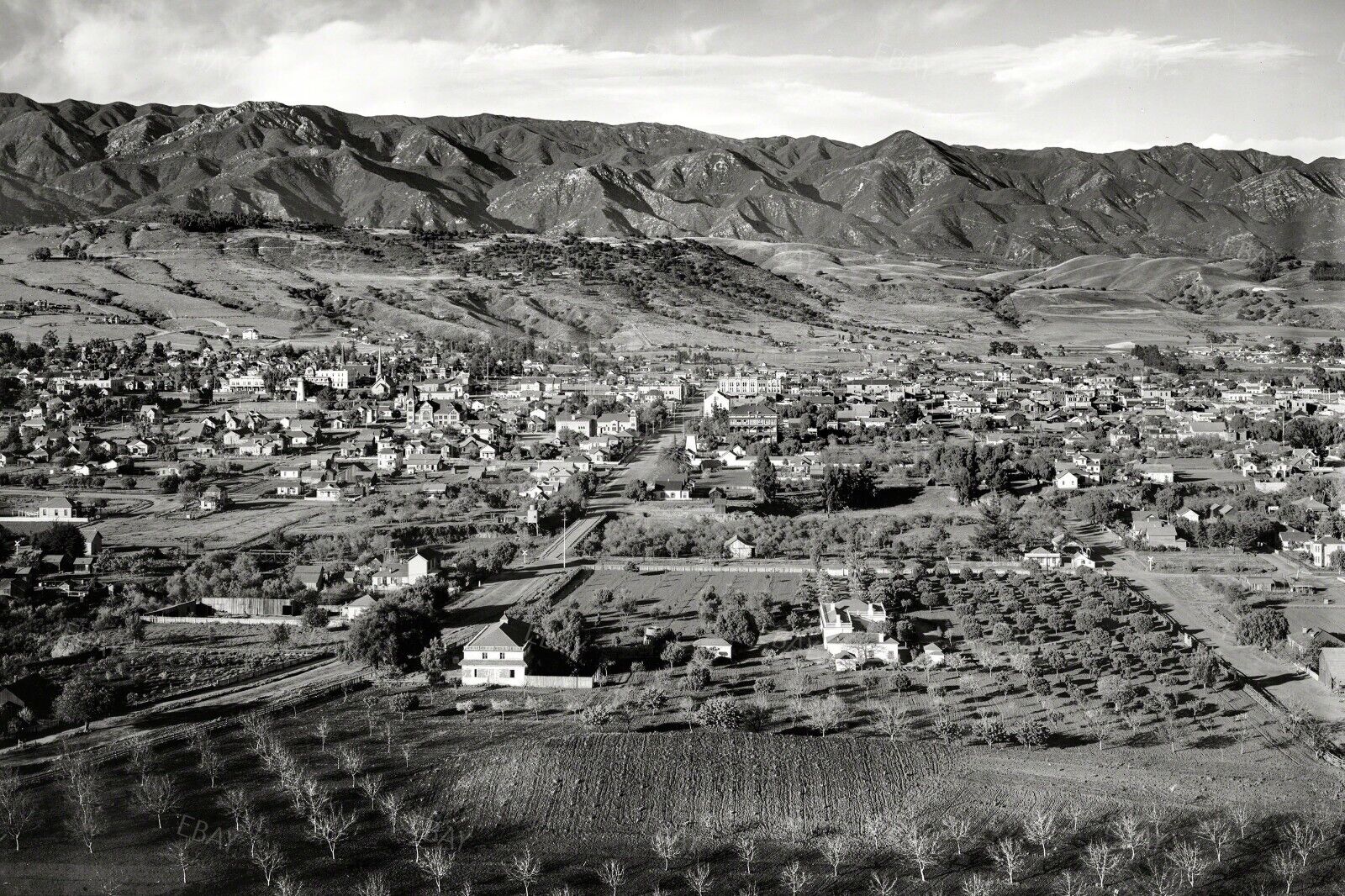13x19 Poster Print 1900s General View From West Skyline Mountain Town California