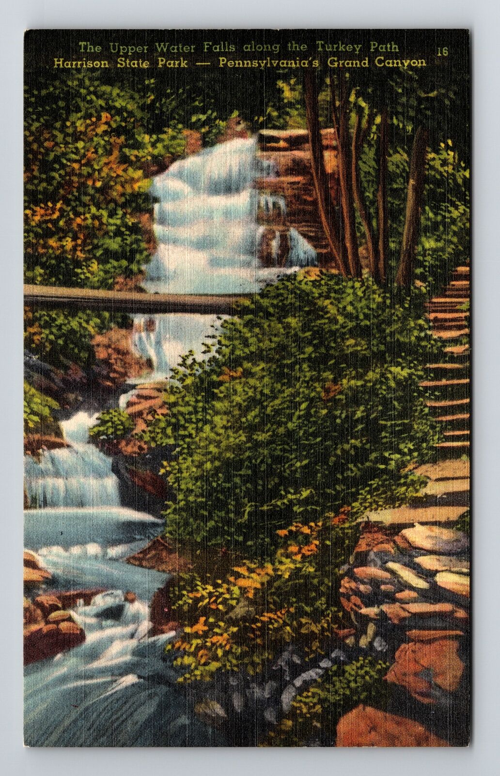 Harrison State Park PA-Pennsylvania Upper Water Falls Turkey Path Old Postcard