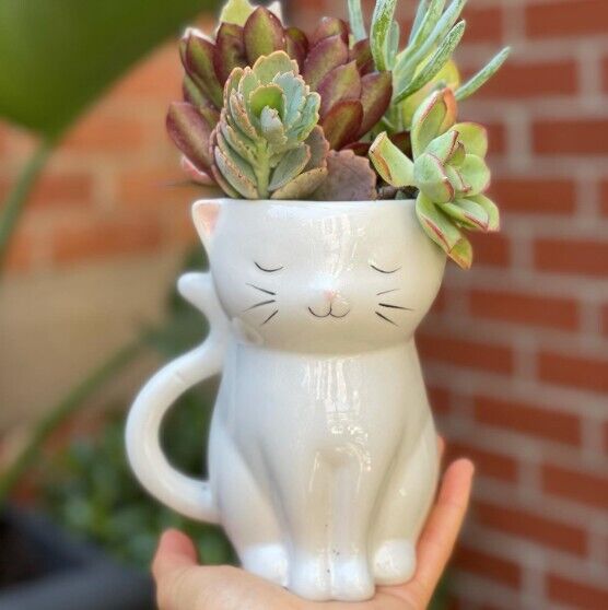 Cat Planter Pot for Succulents & Plants | Succulent Planter | Animal Planter 