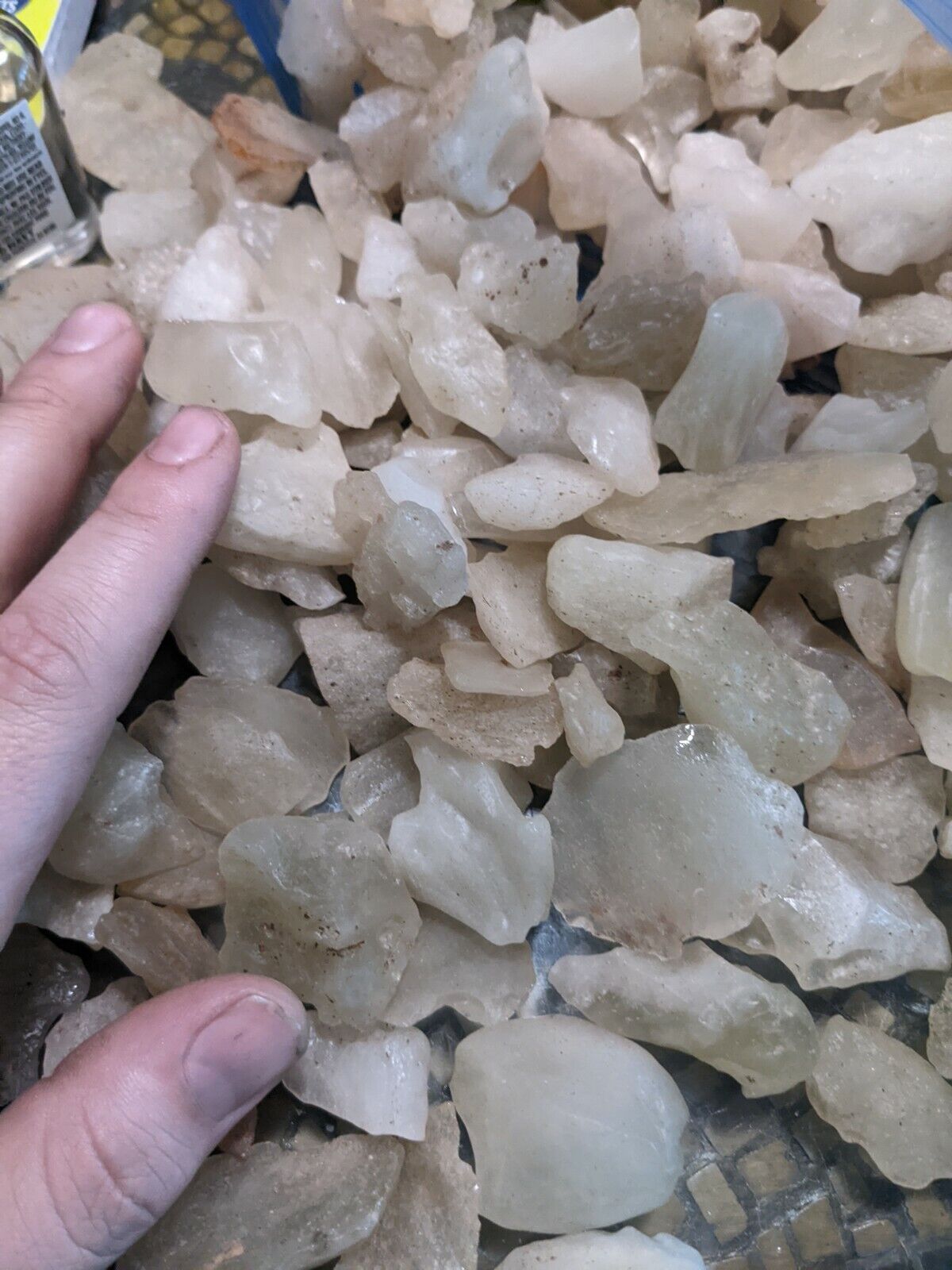 100g Bulk Wholesale Libyan Desert Glass Tektite Impact Crystals Yellow