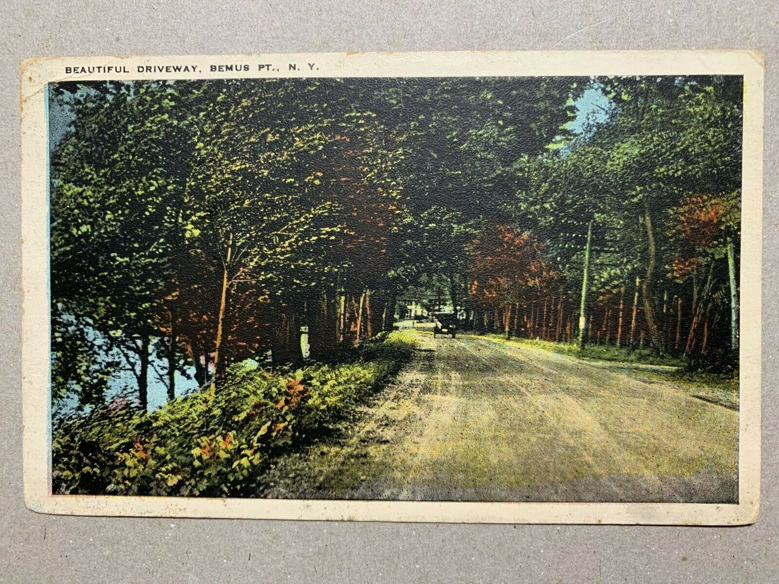 Postcard Bemus Point NY - c1920s Country Road