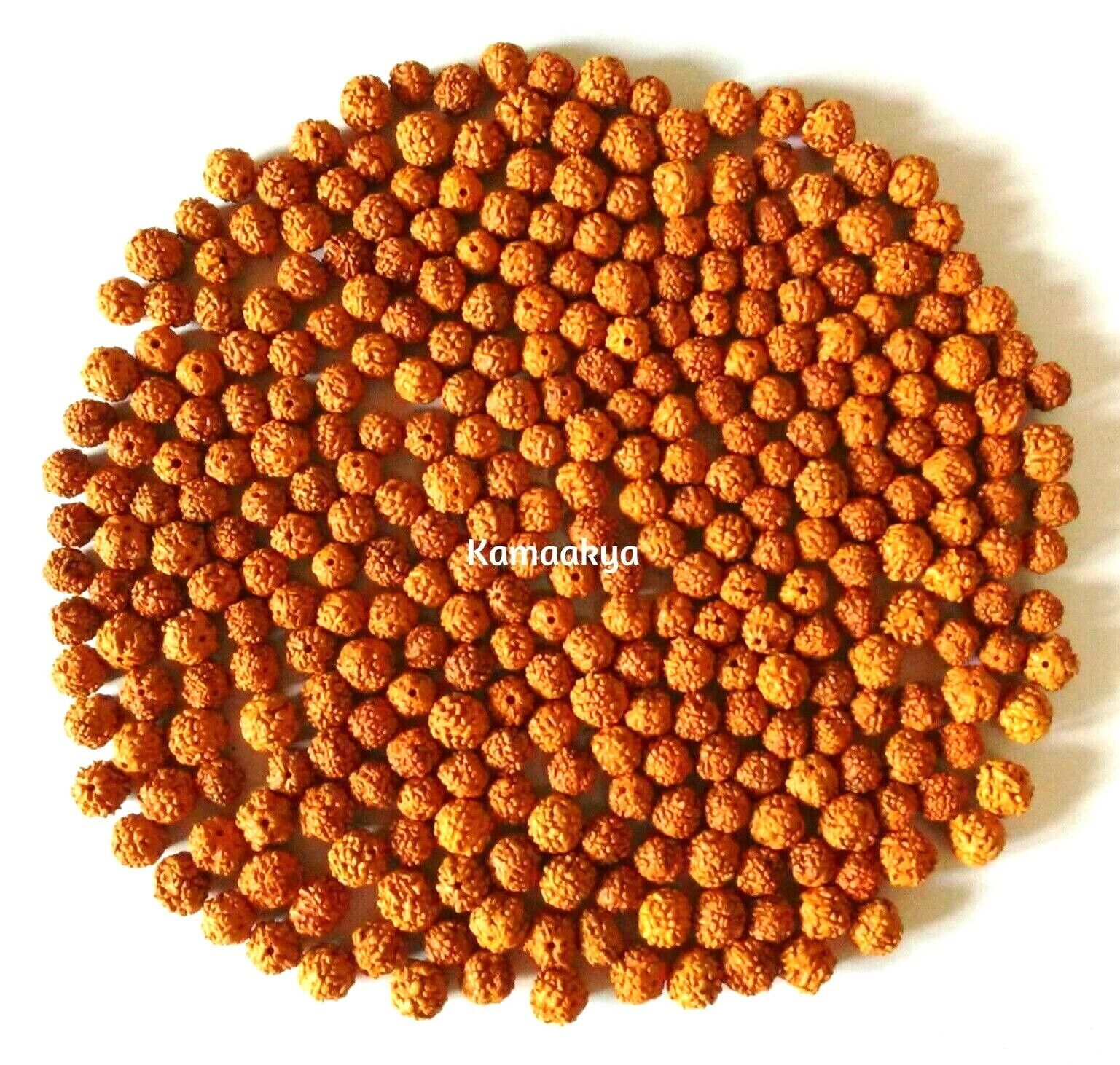Wholesale Lot 11000 Pieces 7 mm Rudraksha Loose Beads for Jewelry Making craft