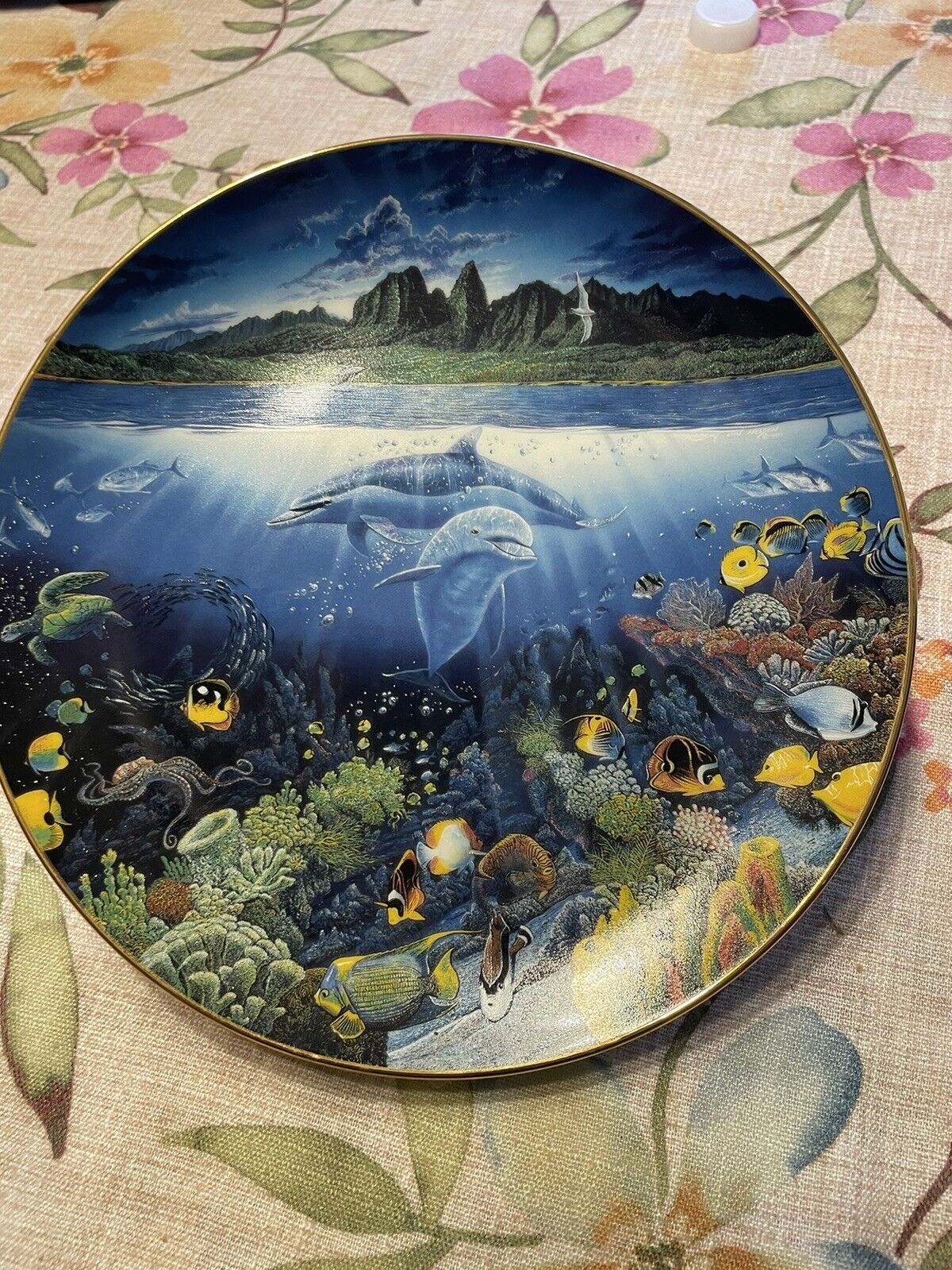 A Discovery Off Anahola Underwater Paradise Danbury Mint Collector Plate ~