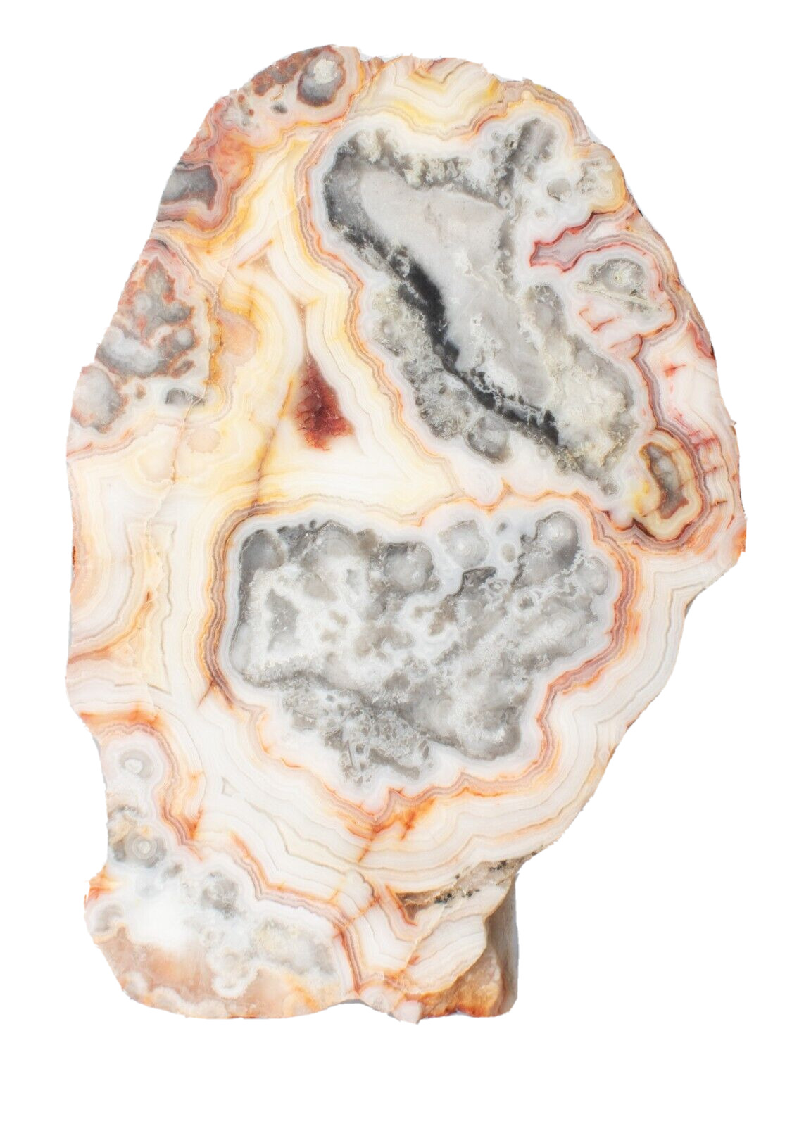 Polished Western Australian Crazy Lace Agate Slice Stone Slab Pilbara C120423