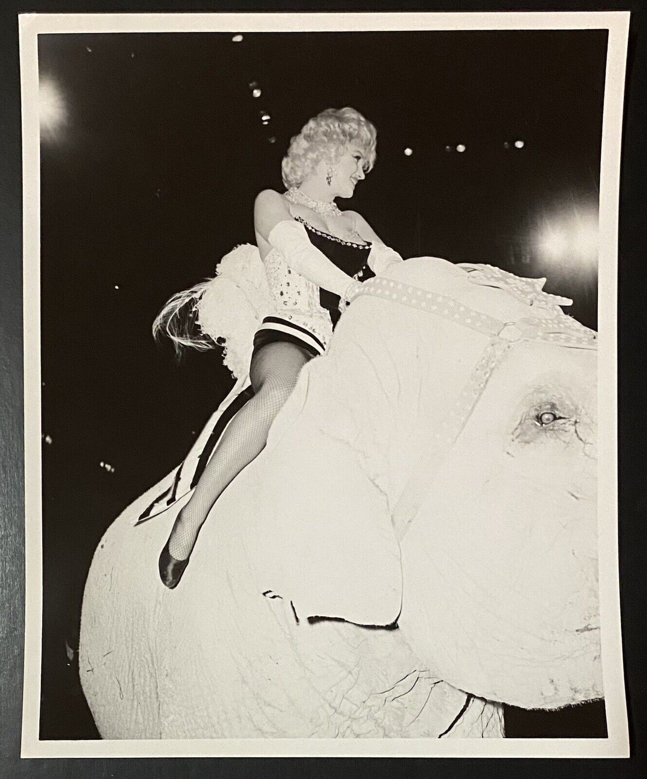 1955 Marilyn Monroe Original Photo Elephant Madison Square Weegee Vintage Photo