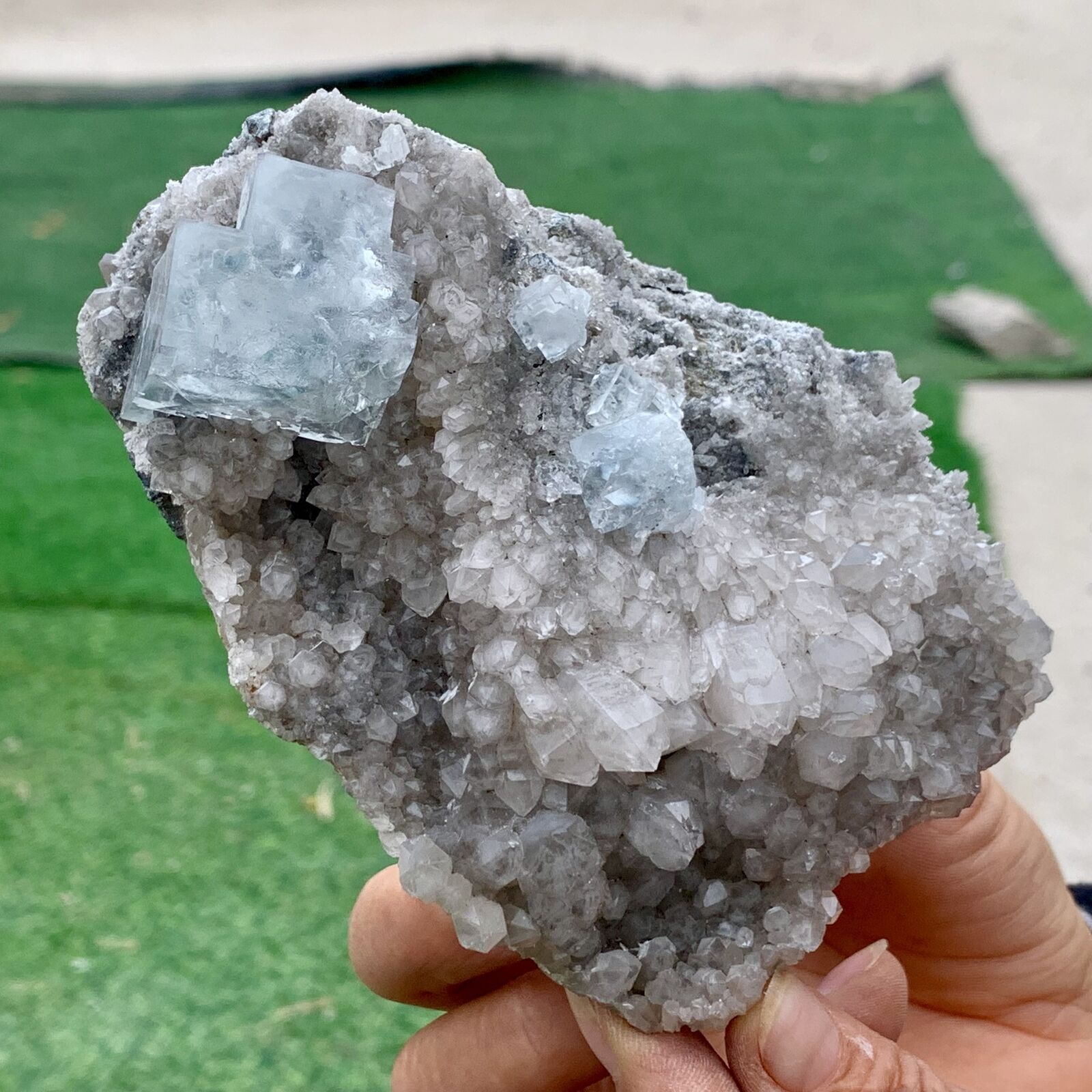 1.16LB Rare transparent blue cubic fluorite mineral crystal sample