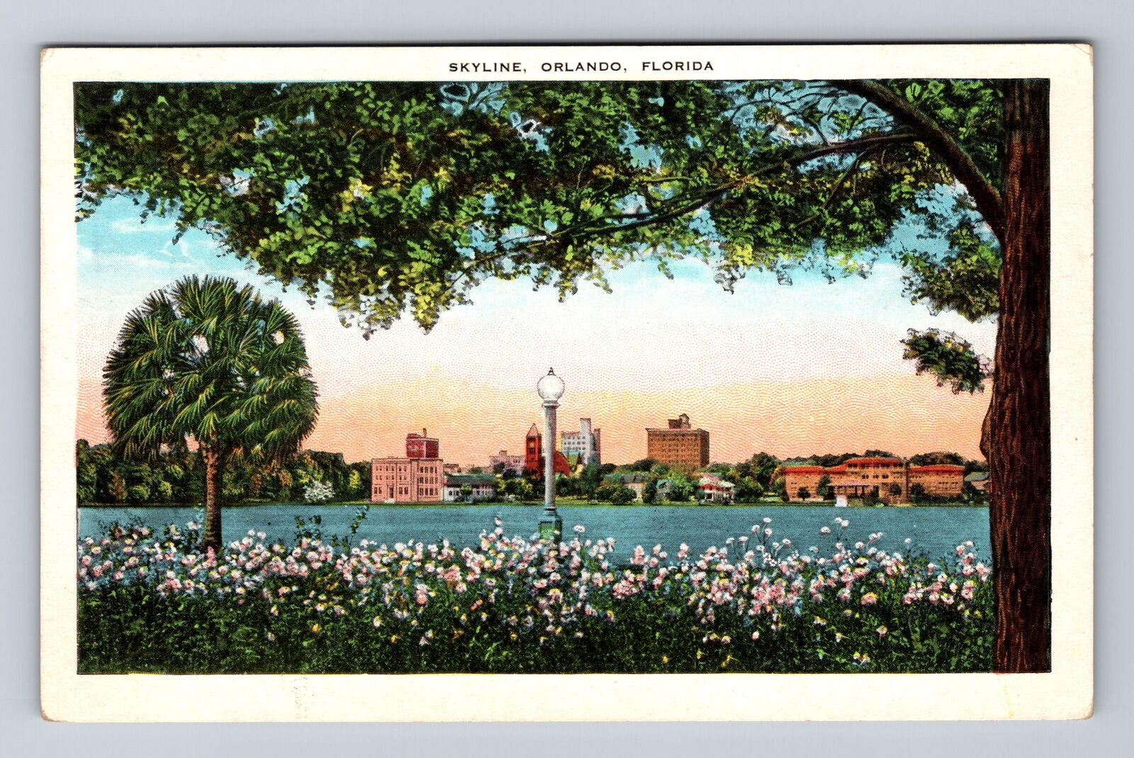 Orlando FL-Florida, Skyline, Antique, Vintage Postcard
