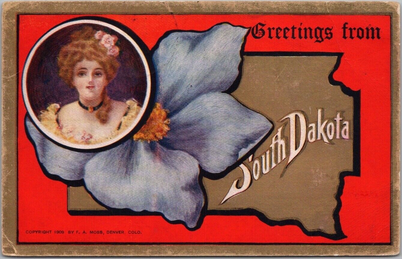 Vintage 1910 SOUTH DAKOTA State Girl / Greetings Postcard w/ Pasque Flower